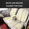 Car Seat Covers 4/2pcs 12v Carbon Fiber Heater Heating Pads Pad Ventilation Cover Non-woven P5p5