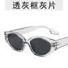 Frames populares na Internet, o mesmo tipo de moderno feminino, óculos de sol poligonais masculinos e óculos personalizados de ponta de ponta