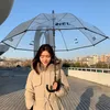 Transparent Umbrella Internet Celebrity Little Fairy Same Style Letter Sign Long Handle Umbrella Socialite Good-looking Photo Umbrella Wholesale