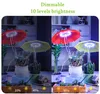 Cresça luz para plantas internas pequenos guarda-chuva 48 Timer LED Spectrum Full Spectrum Halo Plant Lirpts para jardinagem em casa, escritório, presente de 10 níveis