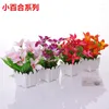 Fleurs décoratives Simple Simulation Fleur Décoration Salon Table À Manger En Plastique Intérieur Plante Verte Clôture Avec Pot