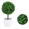 Dekorativa blommor 2 datorer Desktop Decor Desk Ball Topiary Balls Planters Fake Bonsai Realistic Succulents Office