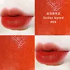 LIGIS GLISS Sexy Red Lipgloss Bulk krem ​​nawilżający Matowy Rotten Tomato Liquid Lipstick Waterproof trwa makijaż kosmetyka kosmetyka