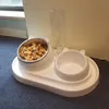 Alimentation 3 en 1 grande capacité pour animaux de compagnie fontaine d'eau automatique mangeoire pour chien chien détachable Double bol à boire chat support surélevé bols à vaisselle