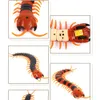 Toys Infrared Remote Control Centipede Tricky Simulation Scolopendra Electric Cat Interactive Toy Halloween Ornaments Props for Kids