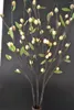 Dekorative Blumen Pussy Willow Branch Light 40 'mit 60 Led Plus Green Leaf Dekoration 3 V Adapter (Transformator) Spring