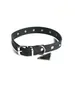 Designer Dog/Cat Jarre Aero Tide Brand Rivet Collar Tide Brand omgekeerde driehoekige Collars Classic