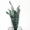 Decorative Flowers 10PCS Eucalyptus Leaf Greenery Stems With Frost Home Party Wedding Decoration Outdoor Flower Wall Wreath Garden Decor