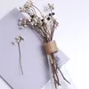 Decoratieve bloemen Tallow Berries Gedroogde natuurlijke plant DIY STEM BOUQUET VOOR HUISKANTOOR Bruiloftsfeest Floral Decor Farmhouse Style