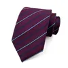 Brudgummen slipsar handel lager ny vintage stil gentleman slips mäns affär slips
