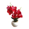 Decorative Flowers Fake Potted Plant Simulation Phalaenopsis Colored Artificial Flower Two Branch Butterfly Orchid Landscaping Table