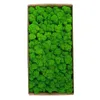 Dekorative Blumenkränze, 1500 g, Simulationspflanzen, ewiges Leben, Moos, Garten, Heimdekoration, Wand, DIY, Blumenmaterial, Mini-Mikrolandschaft, gefälschtes Geschenk 230510