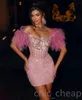 2023 May Aso ebi Crystals Tradual Treed Dress Dression Pink Feather Gheath Short HomeComing Party Club Evening Prom Brand Birthday Cocktail Drons Zj02