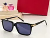 Sunglasses For Men and Women Summer Designers 0160 Style Anti-Ultraviolet Retro Eyewear Full Frame Glasses Random Box 0160S