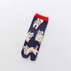 Çoraplar Çorap 1 Çifti Yeni Komik Karikatür Hayvan Sevimli Kedi Karahinkeri Kadınlar İki Parmak Çorap Ter Absorban Yumuşak Pamuk Ayak Toe Sokken Dropship P230511