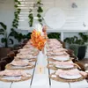 طاولة منديل 10pcs زواج الزفاف yepqzq المناديل القطن 43 × 43 سم شاي منشفة الشاي الشاحب