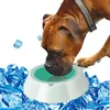 Alimentazione estiva Ciotola per acqua di raffreddamento per cani da compagnia Contenitore per alimentazione per cani a raffreddamento rapido staccabile per cani di taglia grande Ciotola per pastore tedesco