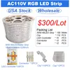 AC110V RGB LED Strip Lights ، مرنة RGB LED مصابيح NEON ROPE IP65 NEON NEON FLEX COTTABLE SILICONE 16 تغيير اللون مع REMOTE لـ Party DIY USALight