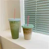 700ml Straw Cup With Lid Cold Juice Milk Tea Mug Reusable Tumbler Matte Coffee Mug Plastic Cups Drinking Bottles Mocha Mug