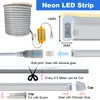 AC110V RGB Led Strip Lights,Flexible RGB Led Lights Neon Rope IP65 Waterproof Neon Flex Cuttable Silicone 16 Color Changing with Remote Party DIY crestech888