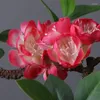 Dekorativa blommor 79 cm konstgjorda blommor Silk Peach Blossom Branch Plant Fake Wedding Arrangement Home Room Decoration