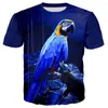 T-shirt da uomo Summer Parrot Shirt Men Flower Tshirt Hip Hop Tee T-shirt con stampa 3d Cool Abbigliamento donna Casual Top Felpa Tees