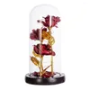 装飾的な花バレンタインデーロマンチックな花の飾りのためのライトストリング妖精とガラスドームのプラスチックローズ