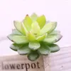 Decoratieve bloemen 1 pk 8 10 cm mini -vetplanten kunstmatig plastic bionische plant groen paarse gradiënt kleur lotus handgemaakte gezinsdecoraties