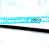 3/5/8/10m nylon niet-slip waslijn hangende touw winddichte droog touw lichtgewicht vouwen multi-grid reizen outdoor kleding hangers z0008