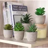 Decorative Flowers Mini Fake Potted Plants In Pots Faux Succulents Set Indoor Bonsai For Desk Living Room Bedroom Office Home Decoration