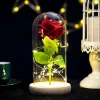 Rose hält ewig, mit LED-Lichtern in Glaskuppel, Valentinstag, Hochzeit, Jahrestag, Geburtstag, Geschenke, Party-Dekoration, 5 Farben