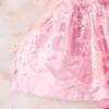 Девушка одевается принцесса младенца девочки, кружевная вышивка, платье для вышивки, сладкие перья, кисточка рукав без обратного летних малыш