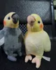 Muñecos de peluche Tamaño mini Realista Cacatúa gris Juguetes de peluche Vida real Suave Amarillo Loro Pájaros Animales de peluche Muñecas de juguete Regalos para niños 230511