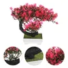 Decoratieve bloemen Japanse woninginrichting bonsai decoraciones para salas de casa boom