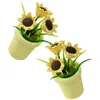 Fleurs décoratives 2pcs Miniature Bonsai Tiny Things Décorations Accessoires