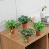 Decoratieve bloemen kunstmatige pot levendig mini groen bonsai home decor kantoor bureau buitendecoratie monstera blad voor