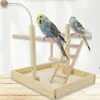 Andra fågelförsörjningar Swing Parrots Cage Toy Funfair Wood Ladder Training For Small Size Birds Playstand