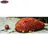 Fishing Accessories TAKEDO 70g 80g 90g 100g Bait Thrower Carp Feeder Method And Mould Tackle Set 230512