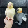 Muñecos de peluche Tamaño mini Realista Cacatúa gris Juguetes de peluche Vida real Suave Amarillo Loro Pájaros Animales de peluche Muñecas de juguete Regalos para niños 230511