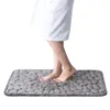 Carpets Anti-slip Carpet Home Toilet Floor Mat Bathroom Water Absorbing Rug Quick Drying Anti-skid Door