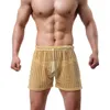 Herren-Shorts, transparentes Mesh, lässige Shorts, Gay-Shorts, durchsichtig, durchsichtig, Marken-Schlafhose, Nachtwäsche, Freizeit-Hauskleidung, Shorts für Männer 230512