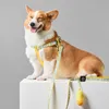 Hundhalsar Leases Chihuahua Tillbehör Lyxare och krage set med bowtie halsband bröstet litet medelstora hundpektor för hundar som går 230512