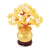 Fiori decorativi Accessori per mensole Decor Albero della fortuna Ricchezza 16 16 cm Moneta cinese Bonsai Chakra dei soldi Pietra preziosa