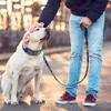 Hondenkragen ontleent zachte nylon hondenkraag en riem ingesteld reflecterende gewatteerde hondenkraag mode bedrukte verstelbare huisdierenkragen voor middelgrote grote honden 230512
