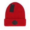 Classic Winter Knitted Beanies Men Women Designer Beanie with Ornament High Quality Skull Caps for Male Ladies
