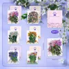 Gift Wrap 80Pcs Flower Scrapbook Sticker Pack Waterproof Transparent PET Hand Diary DIY Tulip Account Laptop For Decor