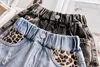 Shorts Toddlers Girls Jeans Denim Short Pants Summer 2 3 4 5 6 7 8 9 10 11Years Kids Girls Ripped Leopard Panties 230512