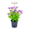 LED MINI المظلة المظلة ينمو ضوء ، حديقة الأعشاب ، 24 معدل 20 واط قابلة للتعديل ، مؤقت ، قابلة للضايق ، طيف كامل ، لتنمو النباتات ، النباتات المختلفة ، الأبيض