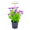 mini grow light