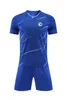 Bosnia-Herzegovina Men's Tracksuits children summer leisure sport short sleeve suit outdoor sports jogging T shirt